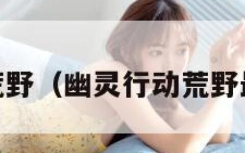 幽灵行动:荒野（幽灵行动荒野最强狙击枪）