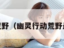 幽灵行动:荒野（幽灵行动荒野最强狙击枪）