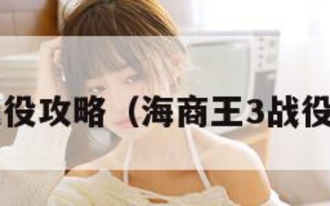 海商王3战役攻略（海商王3战役攻略大全）