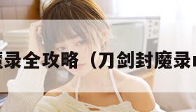 刀剑封魔录全攻略（刀剑封魔录rpg攻略）