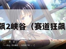 赛道狂飙2峡谷（赛道狂飙怎么玩）
