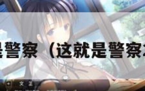 这就是警察（这就是警察2攻略）