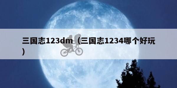 三国志123dm（三国志1234哪个好玩）