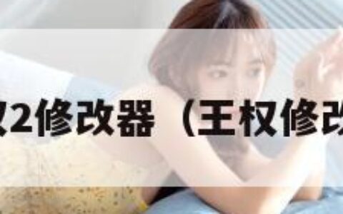 王权2修改器（王权修改版）
