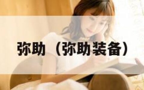 弥助（弥助装备）