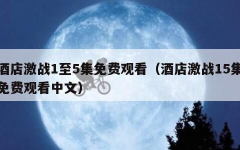 酒店激战1至5集免费观看（酒店激战15集免费观看中文）