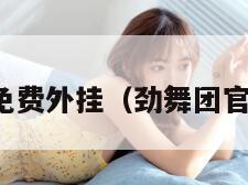 劲舞团免费外挂（劲舞团官方辅助）