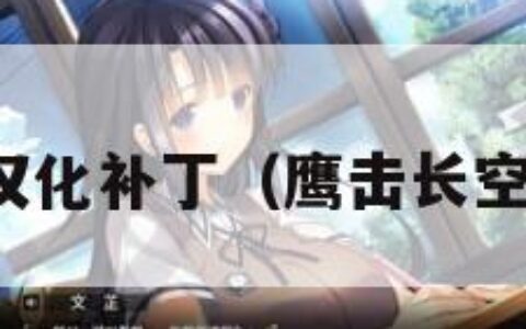 鹰击长空汉化补丁（鹰击长空安卓汉化）