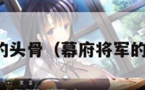幕府将军的头骨（幕府将军的头骨下载）