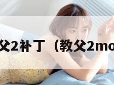 教父2补丁（教父2mod）