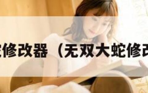 无双大蛇修改器（无双大蛇修改器下载）