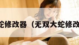 无双大蛇修改器（无双大蛇修改器下载）