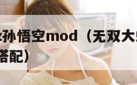 无双大蛇z孙悟空mod（无双大蛇z孙悟空武器属性搭配）