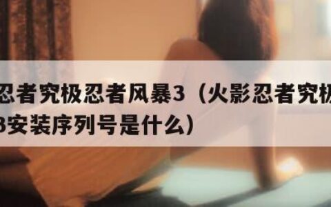 火影忍者究极忍者风暴3（火影忍者究极忍者风暴3安装序列号是什么）