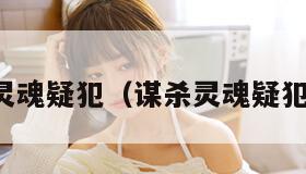 谋杀灵魂疑犯（谋杀灵魂疑犯攻略）