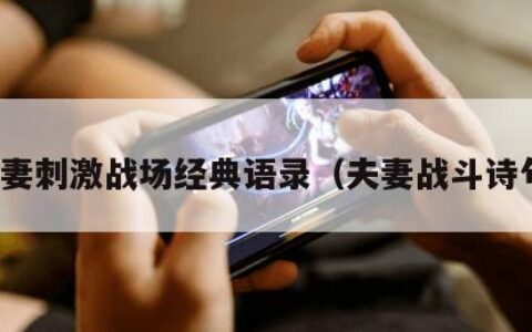 夫妻刺激战场经典语录（夫妻战斗诗句）