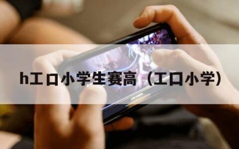 h工口小学生赛高（工囗小学）