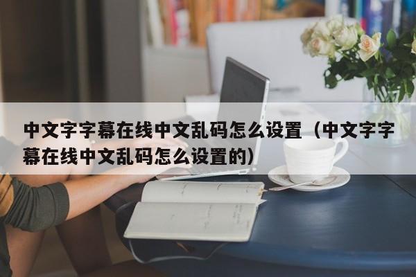 中文字字幕在线中文乱码怎么设置（中文字字幕在线中文乱码怎么设置的）
