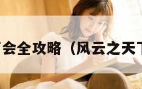 风云之天下会全攻略（风云之天下会全地图）