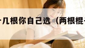 两根还是十几根你自己选（两根棍子你选哪个）