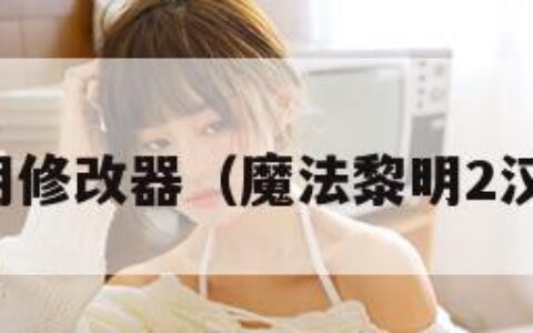 魔法黎明修改器（魔法黎明2汉化补丁）