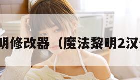魔法黎明修改器（魔法黎明2汉化补丁）