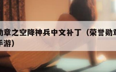 荣誉勋章之空降神兵中文补丁（荣誉勋章空降神兵手游）