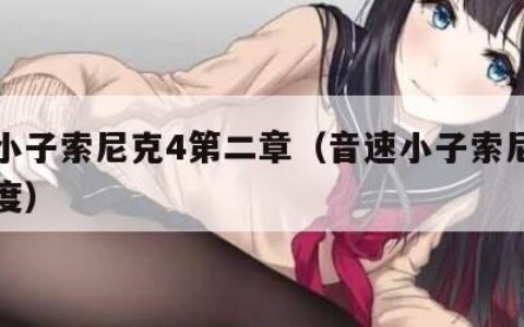 音速小子索尼克4第二章（音速小子索尼克动画百度）