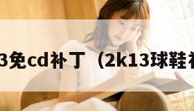 k13免cd补丁（2k13球鞋补丁）"