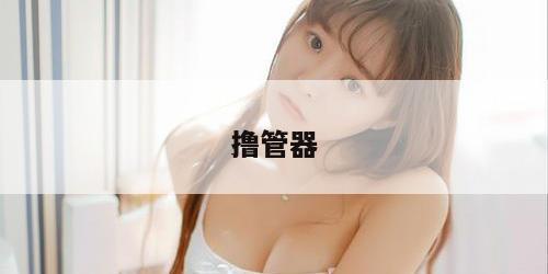 撸管器