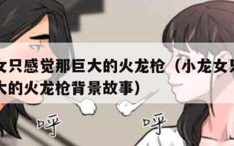 小龙女只感觉那巨大的火龙枪（小龙女只感觉那巨大的火龙枪背景故事）