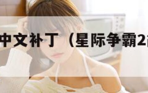 星际争霸2中文补丁（星际争霸2简体中文补丁）