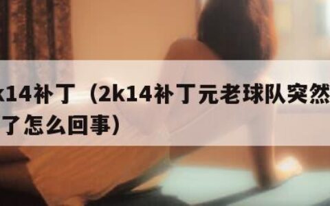 2k14补丁（2k14补丁元老球队突然没有了怎么回事）