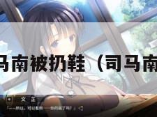 司马南被扔鞋（司马南最）