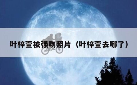 叶梓萱被强吻照片（叶梓萱去哪了）