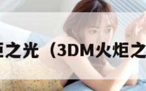 3dm火炬之光（3DM火炬之光2下载）
