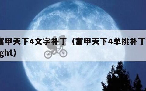 富甲天下4文字补丁（富甲天下4单挑补丁fight）