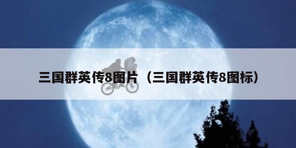 三国群英传8图片（三国群英传8图标）