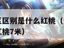 无人一区二区区别是什么红桃（无人一区二区区别是什么红桃7米）