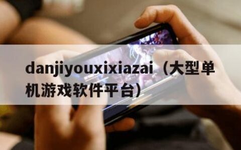 danjiyouxixiazai（大型单机游戏软件平台）