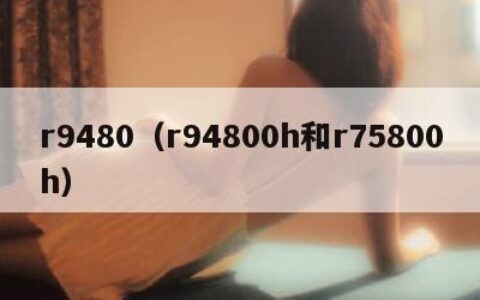 r9480（r94800h和r75800h）
