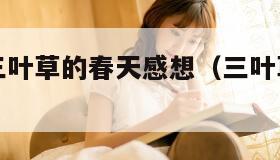 日本电影三叶草的春天感想（三叶草的春天电影介绍）