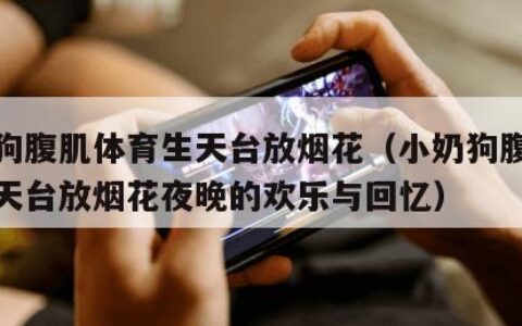 小奶狗腹肌体育生天台放烟花（小奶狗腹肌体育生天台放烟花夜晚的欢乐与回忆）