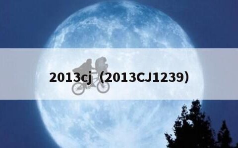 2013cj（2013CJ1239）