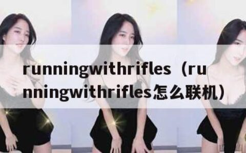 runningwithrifles（runningwithrifles怎么联机）