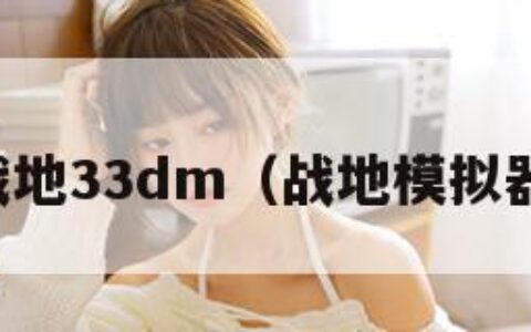 战地33dm（战地模拟器）