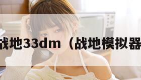 战地33dm（战地模拟器）