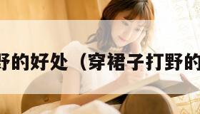 穿裙子打野的好处（穿裙子打野的好处图片）