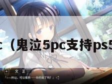 鬼泣5pc（鬼泣5pc支持ps5手柄吗）