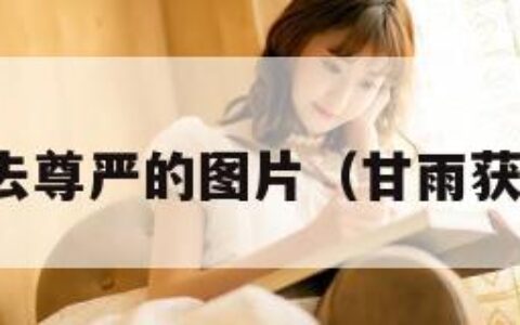 甘雨失去尊严的图片（甘雨获得图片）
